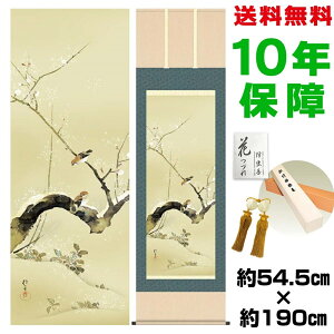 | | ̊ _ a ڌ ~A  jq{\ 54.5 190cm V{ \i10Nԕۏ [ h  t ̓ hV̓ v[g  ^yXg[ 