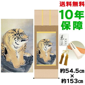 | | ̊ _ a ڌ Ր} ~R jq{\ 54.5 153cm V{ \i10Nԕۏ [ h  t ̓ hV̓ v[g  ^yXg[ 