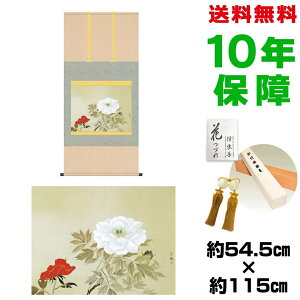 | | ̊ _ a ڌ O ьÌa jq{\ 54.5 115cm V{ \i10Nԕۏ [ h  t ̓ hV̓ v[g  ^yXg[ 