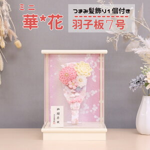 Hq Hq 킢 Hq 7 sNHq ~j؉ ܂ݔt ANP[X Hq  RpNg