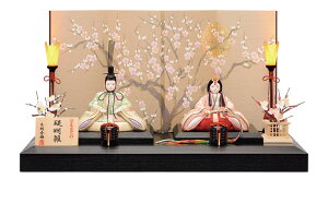 ߂ ؖڍݐl` G 2021NV GN e 퐗20 LEDR[hXᓴt