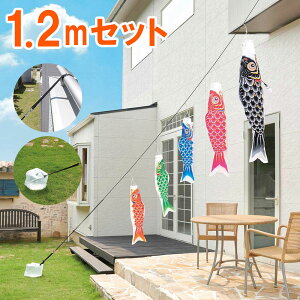 ̂ڂ 뉀p ̂ڂ easyĂset Ȃ 1.2m Zbg 8m[v Œoh iXǃNbv ol  Zbgt