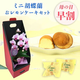 楽天市場 長持ち する 花 鉢植えの通販