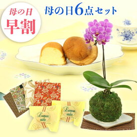 楽天市場 長持ち する 花 鉢植えの通販 楽天市場 長持ち する 花 鉢植えの通販