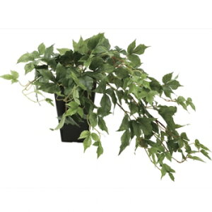 G} A[gt[  R L h Mtg v[g Vzj ]j JƏj J@j ̓ a ẙyzCvACr[@635A60|45@S󒍐