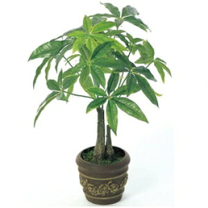 G} A[gt[  R L h Mtg v[g Vzj ]j JƏj J@j ̓ a ẙyzpL|bgM@252E40|56@S󒍐