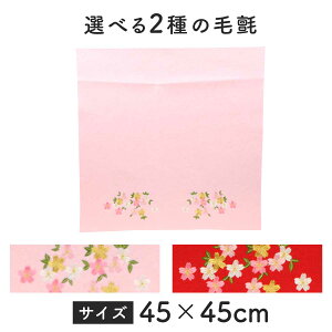 т џ Iׂ2̖т hJ 45×45cm l` ̎q