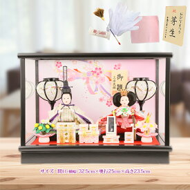雛人形 ひな人形 コンパクト ケース飾り ピンク 親王飾り ケース入り雛人形 初節句 お祝い 桃の節句 ひな祭り ガラスケース n22ao-kyoumaid