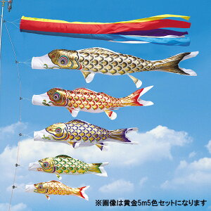 ̂ڂ  뉀p ^ix ̂ڂ  [vt |[ʔ 4m3F ܐFZbg K[fp maiC IV