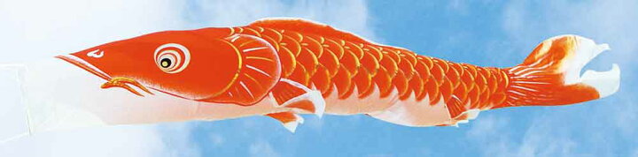 楽天市場】鯉のぼり 単品キング印 翔輝 赤鯉 7m : 人形広場 雛人形・五 