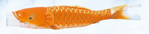 ̂ڂ PiLO ċP  4m
