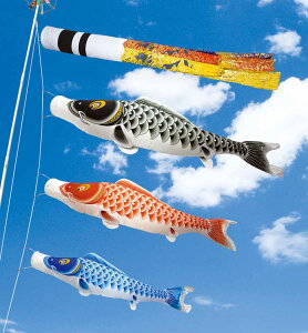 ̂ڂ  뉀p  ̂ڂ Zbg ė  [vt |[ʔ o6m6_Zbg K[fp iCTen V IV