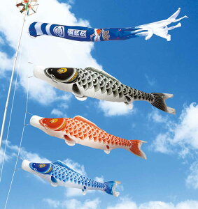 ̂ڂ  뉀p  ̂ڂ Zbg o  [vt |[ʔ o4m6_Zbg K[fp iCTen V IV