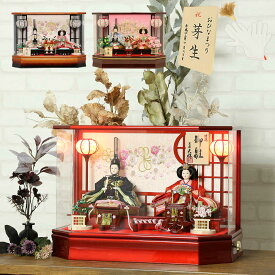 雛人形 コンパクト アクリル ケース飾り 雛人形 コンパクト ひな人形 ぷり姫シリーズ 芥子親王飾り 二人飾り 雛 アクリルケース 木製道具使用 雛人形 かわいい 雛人形 お 特選