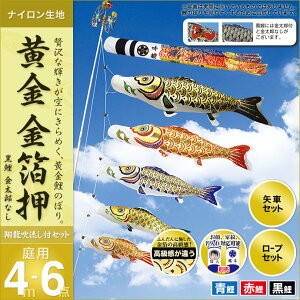 ̂ڂ  뉀p  ̂ڂ Ɩ O ʐ^\ Zbge ė YȂ  [vt |[ʔ 4m6_Zbg K[fp iCn IV