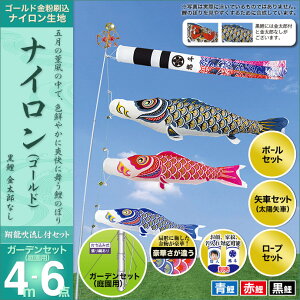 6号 ポール こいのぼりの人気商品 通販 価格比較 価格 Com 6号 ポール こいのぼりの人気商品 通販 価格比較 価格 Com