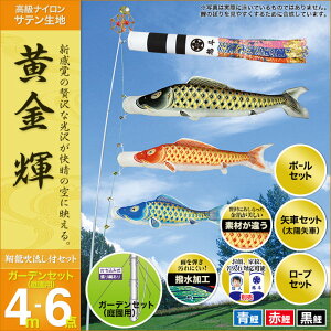 6号 ポール こいのぼりの人気商品 通販 価格比較 価格 Com 6号 ポール こいのぼりの人気商品 通販 価格比較 価格 Com
