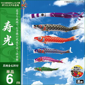 ̂ڂ PiLO   Yt 6m ̂ڂ