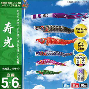 ̂ڂ  뉀p LO ̂ڂ  5m 3C6_Zbg V IV