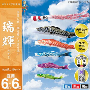 ̂ڂ  뉀p LO ̂ڂ P 6m 3C6_Zbg V IV