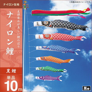 ̂ڂ PiLO iC 10m ̂ڂ