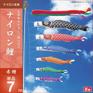 ̂ڂ PiLO iC Ԍ7m ̂ڂ