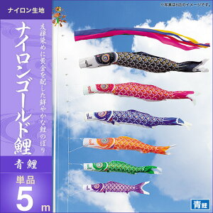 ̂ڂ PiLO iCS[h 5m ̂ڂ