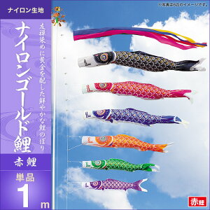 ̂ڂ PiLO iCS[h Ԍ1m