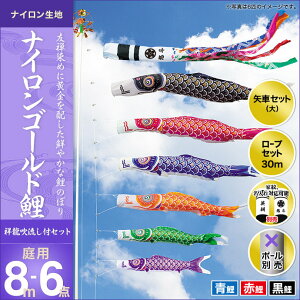̂ڂ  뉀p LO ̂ڂ iCS[h ˗ 8m 3C6_Zbg V IV