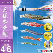 王様黄金鯉(千鳥吹流し)-4m-3匹6点セット