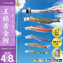 王様黄金鯉(千鳥吹流し)-4m-5匹8点セット