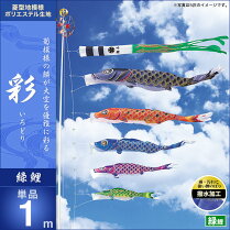 彩-緑鯉1m・単品