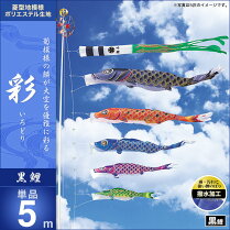 彩-黒鯉5m・単品