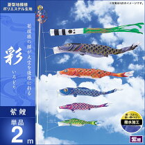 彩-紫鯉2m・単品