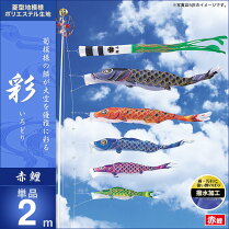 彩-赤鯉2m・単品