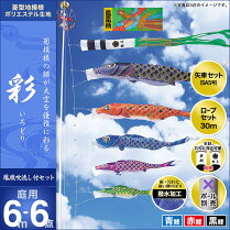 彩-6m-3匹6点セット