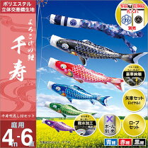 【庭園用こいのぼり】【送料無料】【鯉のぼり】【徳永鯉のぼり】【徳永こいのぼり】【庭用】家紋・名前入可能セット各種(ポール別売)鯉のぼり千寿セット4m6点セット「よろこびの鯉千寿」(ガーデン用・撥水加工鯉・ポリエステル立体交差織生地使用)鯉幟