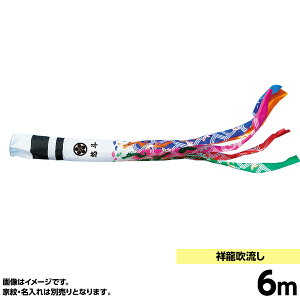 ̂ڂ PiLO ˗ 6m ̂ڂ