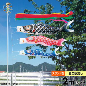 こいのぼり スタンドセット 鯉のぼり 庭園用 庭用 キング印 鯉幟2020年 新作ナイロン鯉 庭園スタンドセット2m 人形広場 天祥