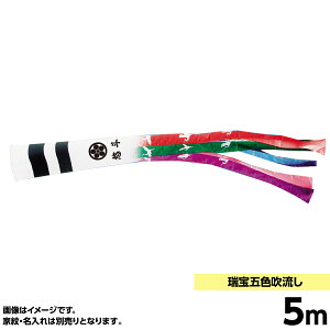 ̂ڂ PiLO ܐF  5m ̂ڂ