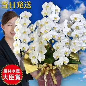 Ӓ  5{60 Ӓ Mtg Ӓ j hV̓ hV̓ v[g j Аݗ I[v JƏj JXj j X^h    @v 䋟 V