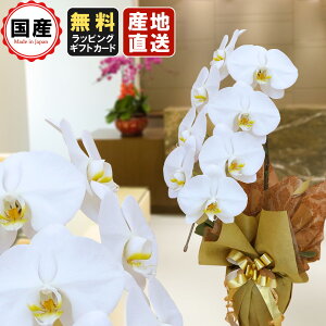 Ӓ 1{7ֈȏ  Mtg j hV̓ hV̓ v[g j Аݗ I[v JƏj JXj j X^h    @v 䋟 V  