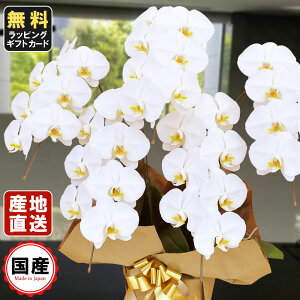 Ӓ 5{  35ֈȏ  Ӓ Mtg Ӓ j hV̓ hV̓ v[g j Аݗ I[v JƏj JXj j X^h    @v 䋟