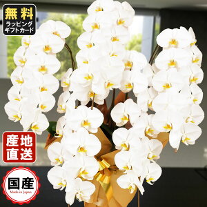 Ӓ 5{  55ֈȏ  Ӓ Mtg Ӓ j hV̓ hV̓ v[g j Аݗ I[v JƏj JXj j X^h    @v 䋟