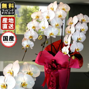 �Ӓ��� 3�{���� ��� 27�ֈȏ� �_�C�������h�I�[�L�b�h �� �Ӓ��� �M�t�g �Ӓ��� ���j�� �h�V�̓� �h�V�̓� �v���[���g ���j�� ��Аݗ� �I�[�v�� �J�Əj�� �J�X�j�� ���j�� �X�^���h ������