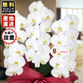 楽天市場 会社設立 お祝いの通販
