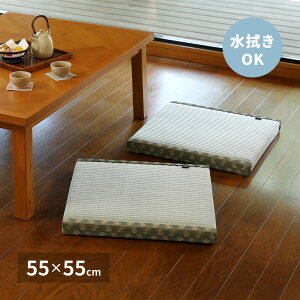 ���@���ł��� �������z�c �_�� 55×55×5cm