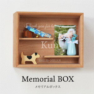 �������A�� �y�b�g ���� �������A���{�b�N�X ������ �y Memorial BOX - �������A���{�b�N�X - �z �L �� ������ �� �������A�� �O�b�Y �P�[�X �f�B�X�v���C�{�b�N�X �Ǌ|�� �ؐ� �ۊ� �ۑ� ���{ ��