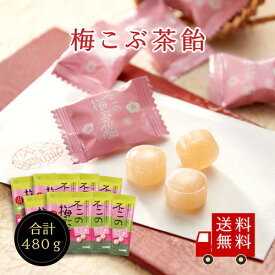 【送料無料】不二の梅こぶ茶飴 60g 8個セット お菓子 お試し おうち時間 プレゼント 手土産 お取り寄せグルメ