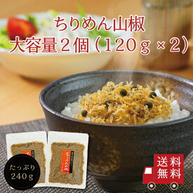 【送料無料】ちりめん山椒120g 2個セット【 R 】　大容量 ちりめん山椒 山椒ちりめん 佃煮 おにぎり ふりかけ お弁当 お試し おうちごはん ご飯のお供 おつまみ 酒の肴 プチギフト お米 メール便 送料無料 塩分補給 御中元 帰省土産 手土産 お盆 自治会 工場直送
